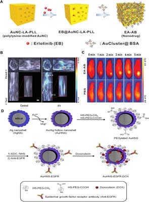The Application of Inorganic Nanoparticles in Molecular Targeted Cancer Therapy: EGFR Targeting